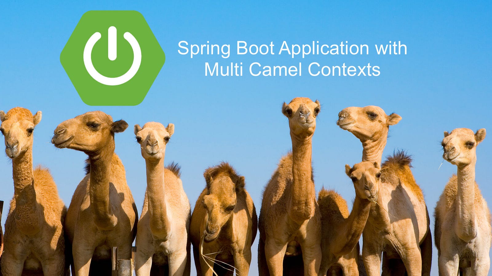 spring boot manual configuration database
